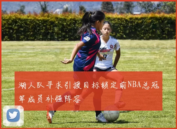 湖人队寻求引援目标锁定前NBA总冠军成员补强阵容
