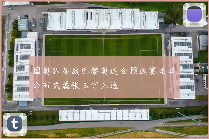 国奥队备战巴黎奥运会预选赛名单公布武磊张玉宁入选