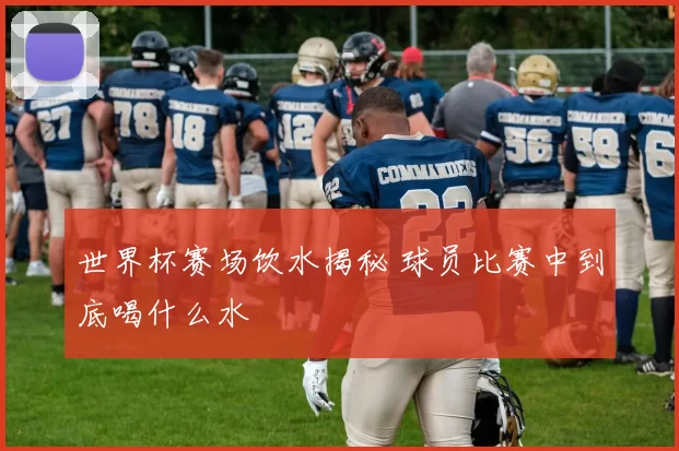 世界杯赛场饮水揭秘 球员比赛中到底喝什么水