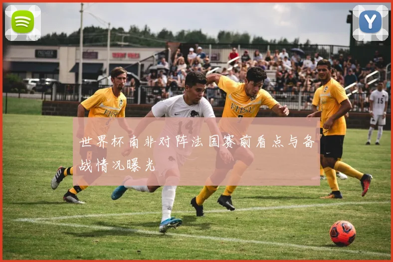 世界杯南非对阵法国赛前看点与备战情况曝光