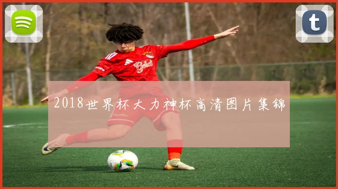 2018世界杯大力神杯高清图片集锦